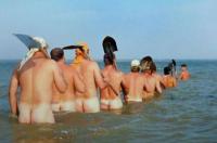 Klicken zum ansehen algemein_101_t1.jpg