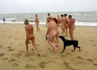 Klicken zum ansehen algemein_104_t1.jpg