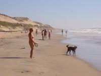 Klicken zum ansehen algemein_108_t1.jpg