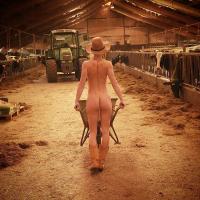 Klicken zum ansehen algemein_153_t1.jpg