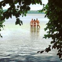 Klicken zum ansehen algemein_195_t1.jpg