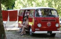 Klicken zum ansehen algemein_257_t1.jpg