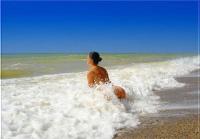 Klicken zum ansehen algemein_88_t1.jpg