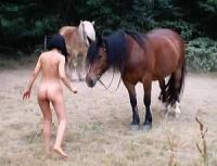 Klicken zum ansehen reiten_17_t1.jpg