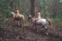 Klicken zum ansehen reiten_1_t1.jpg