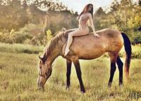 Klicken zum ansehen reiten_3_t1.jpg