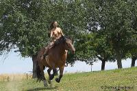 Klicken zum ansehen reiten_7_t1.jpg