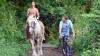 reiten_11_t1.jpg