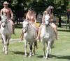 Klicken zum ansehen reiten_12_t1.jpg