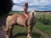 Klicken zum ansehen reiten_15_t1.jpg