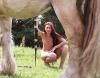 Klicken zum ansehen reiten_5_t1.jpg