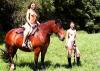Klicken zum ansehen reiten_6_t1.jpg