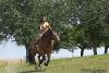 Klicken zum ansehen reiten_7_t1.jpg