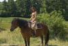 Klicken zum ansehen reiten_8_t1.jpg